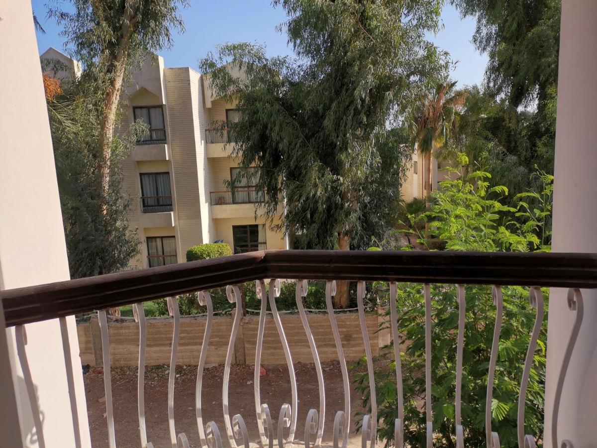 Golden Rose Hotel Hurghada Eksteriør billede